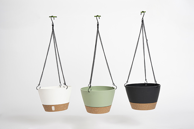 安东尼吊兰盆8寸